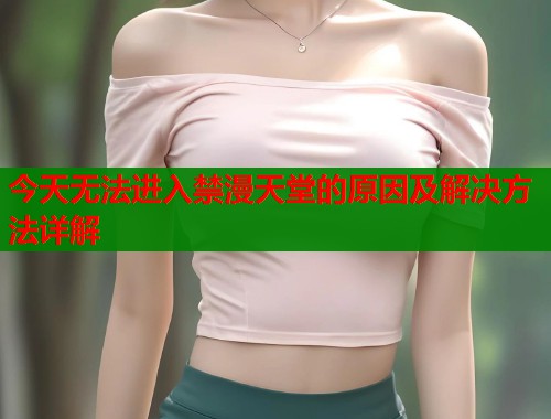 今天无法进入禁漫天堂的原因及解决方法详解  第2张